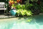 Julia Creekswimming-pool-landscaping-3.jpg; ?>